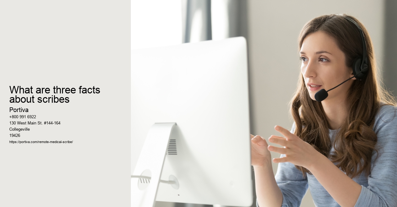 What are three facts about scribes